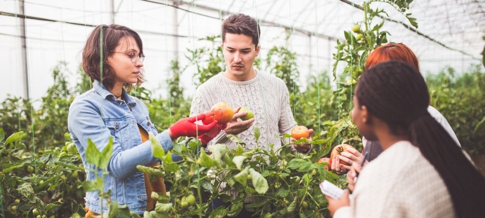 Quatre personnes découvrant une exploitation agricole